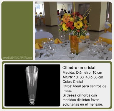 Alquilar Cilindros en cristal grande mediano y pequeño para centros de mesa para fiestas y eventos en Bogotá - ver precios y fotos de alquileres económico para fiestas y eventos